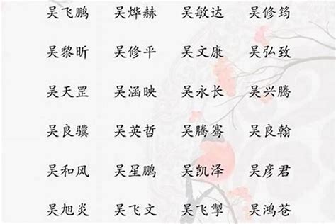 姓吳 取名|吴姓寓意好的男孩名字（精选200个）